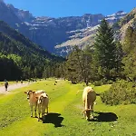 Vip Tour De France 2026 - Luxury - 4 * Gavarnie